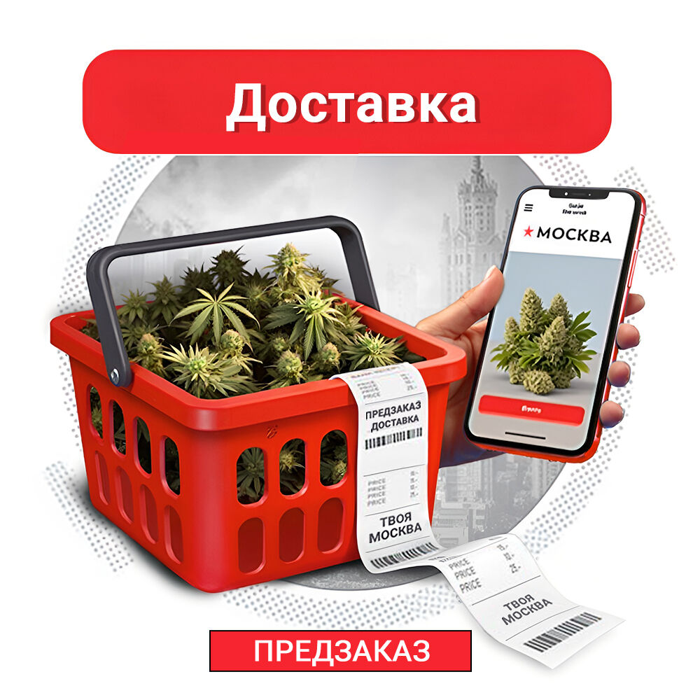 закладки для книг купить